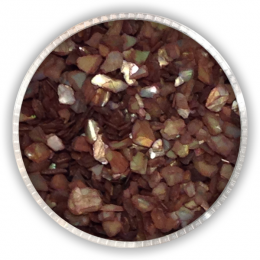 GLITTER SHELLS N.3